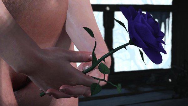 Фиолетовая роза.. Ведьмак III