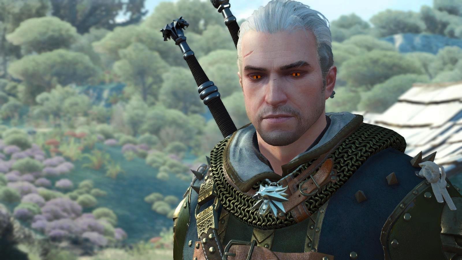The witcher 3 nvidia amd фото 63