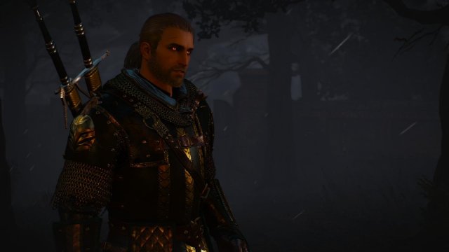 witcher3 2022-02-12 22-32-05-53.jpg