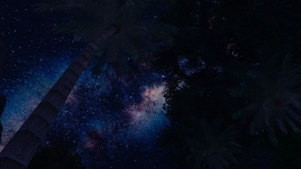 Ночное тропическое небо.. Skyrim SE (сборка 11)