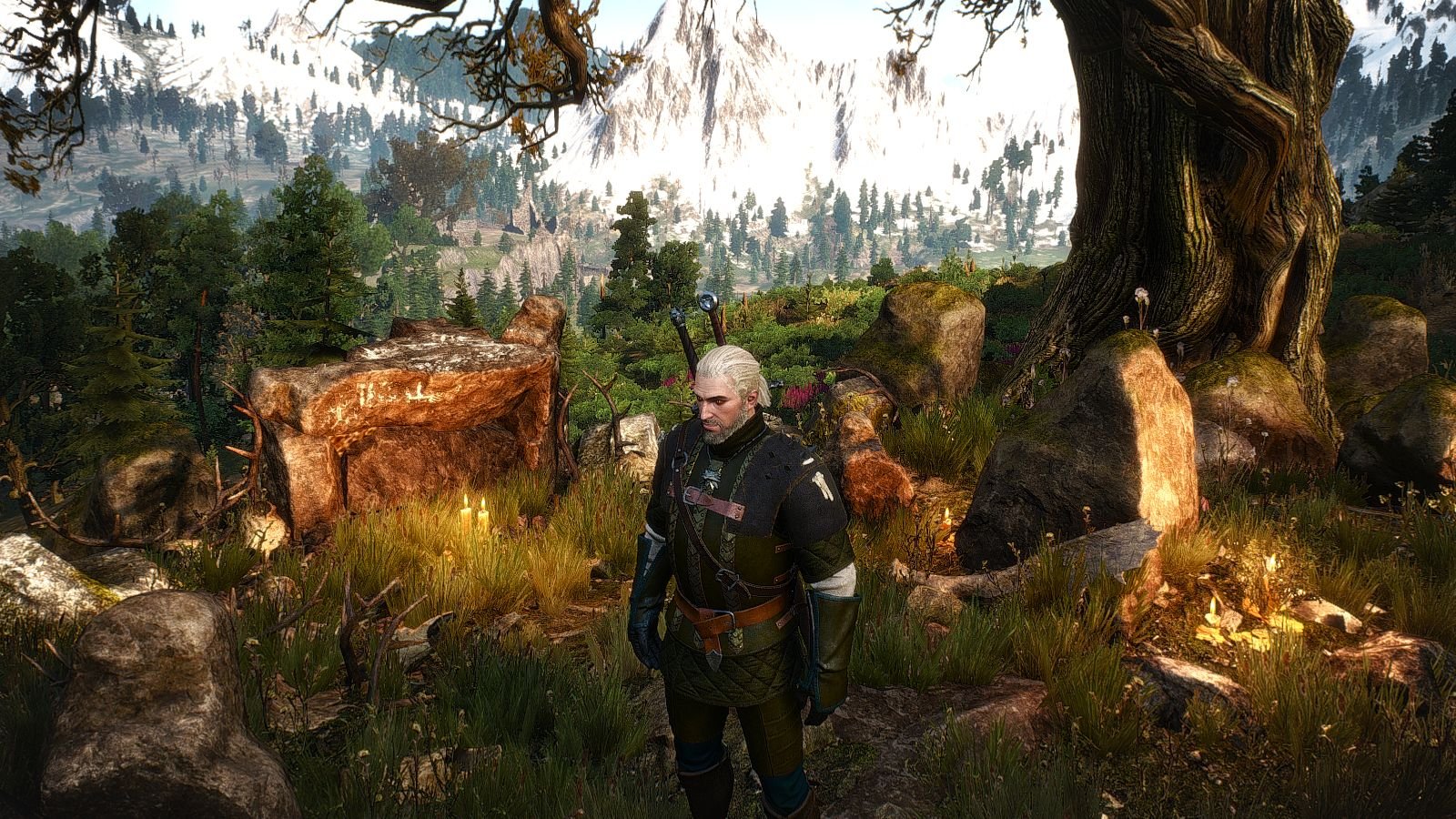 The witcher 3 school of the roach фото 36