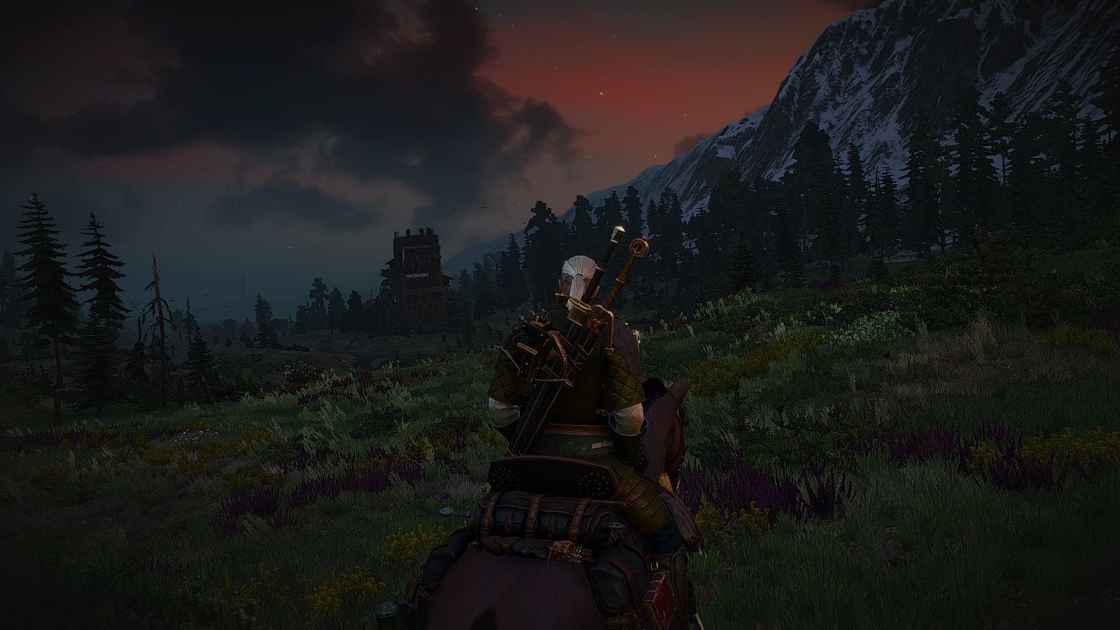 Nvidia the witcher 3 driver фото 42