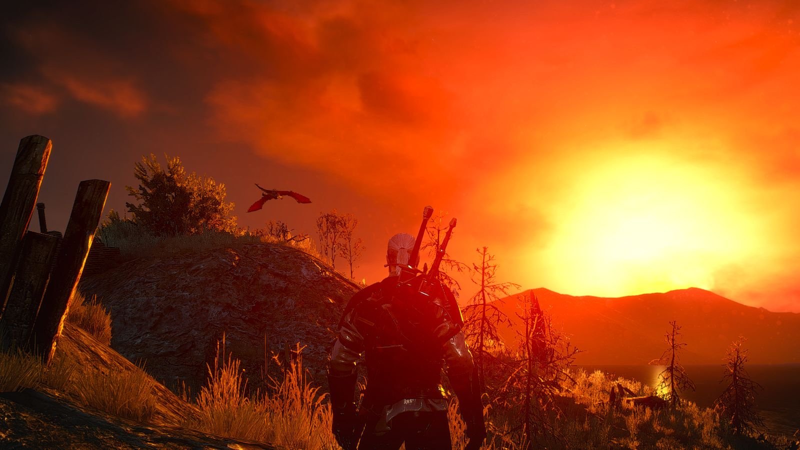 The witcher 3 side quests фото 104
