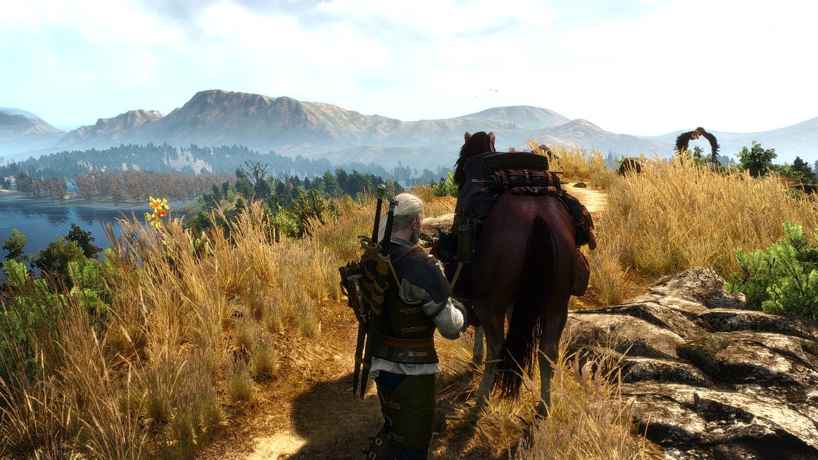 The witcher 3 linux torrent фото 76