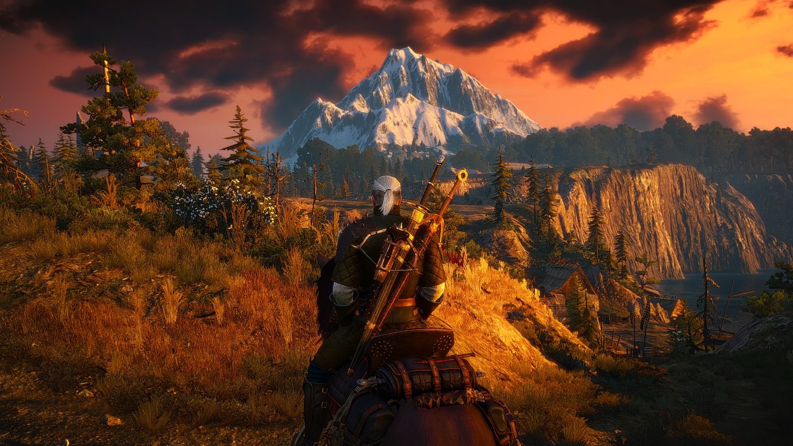 The witcher 3 linux torrent фото 67