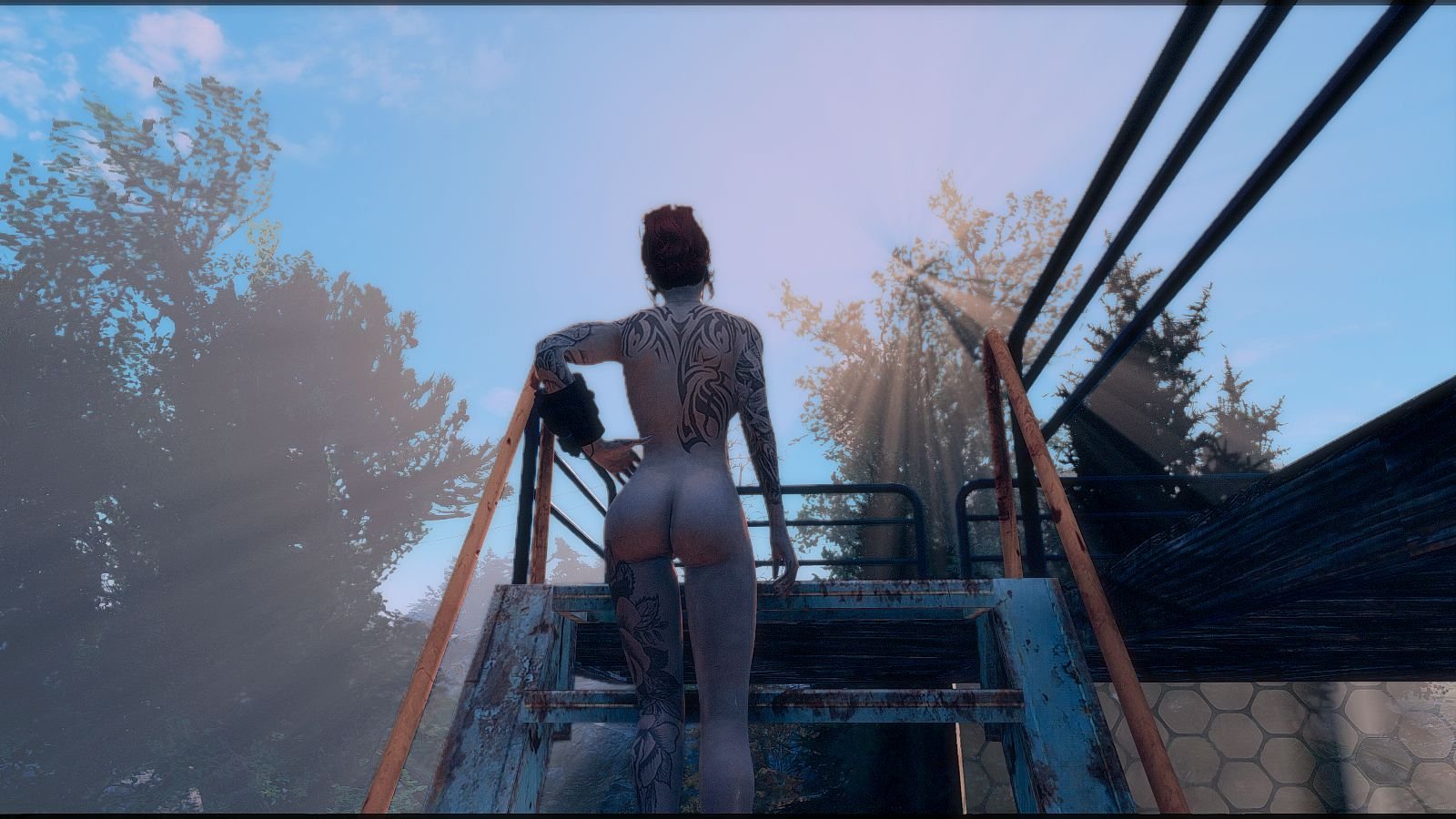 Fallout 4 сборка с модами фото 9