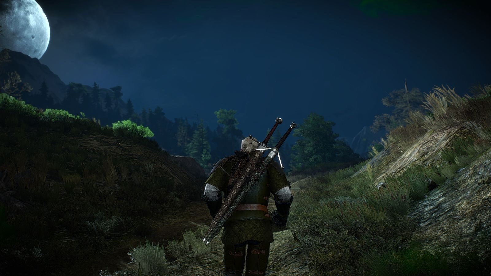 The witcher 3 side quests фото 101