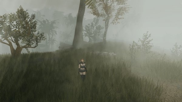 Ночной охотник в густом тумане.. Skyrim SE (Тропики 7.0)