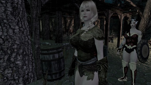 The Elder Scrolls V  Skyrim Special Edition Screenshot 2023.12.27 - 14.04.33.85.jpg
