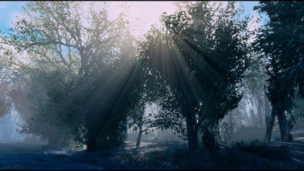 Солнечные лучи сквозь туман.. Fallout-4 (Сборка 9.0)