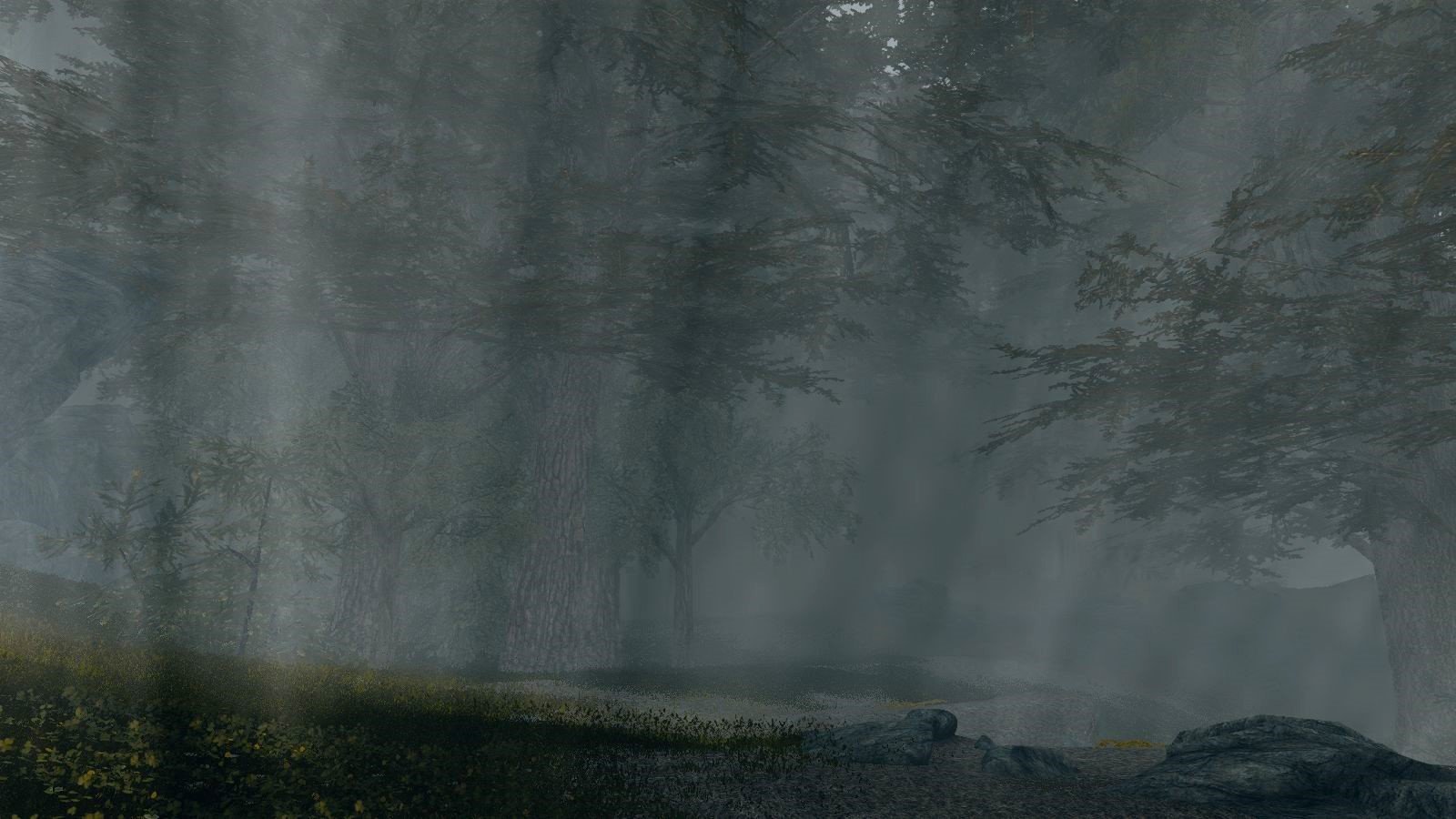 Густой туман в лесу.. Skyrim AE (Тропики 12)