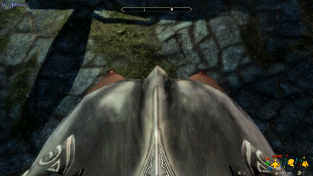 3902518_SkyrimSE2024-03-2101-22-39.thumb.png.9158428e7fb1f611ce23f63de35052a1.png