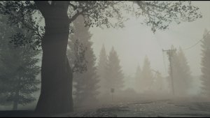 Туманный пейзаж.. Fallout-4 (Сборка 9.0)