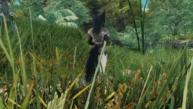 The Elder Scrolls V  Skyrim Special Edition Screenshot 2024.05.09 - 19.37.13.60.jpg