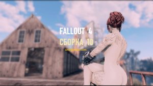 Обложка 4. Fallout-4 (Сборка 10)