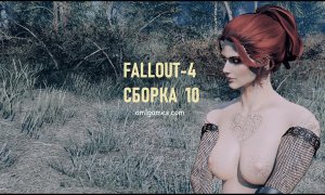 Oбложка 2. Fallout-4 (Сборка 10)