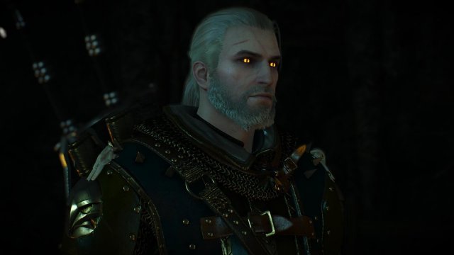 witcher3 2022-01-21 19-55-08-74.jpg