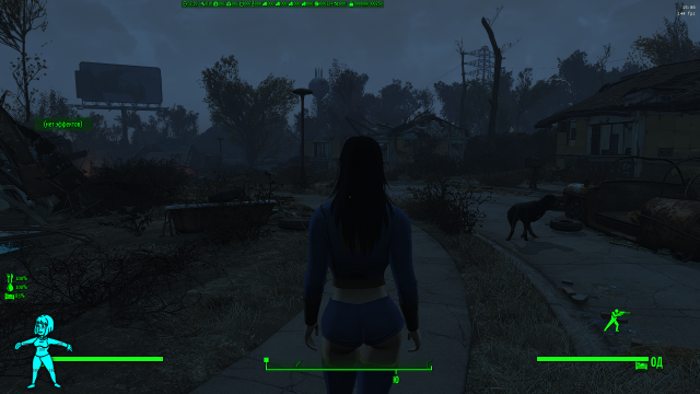 Fallout 4 Screenshot 2025.01.11 - 15.08.09.53.png