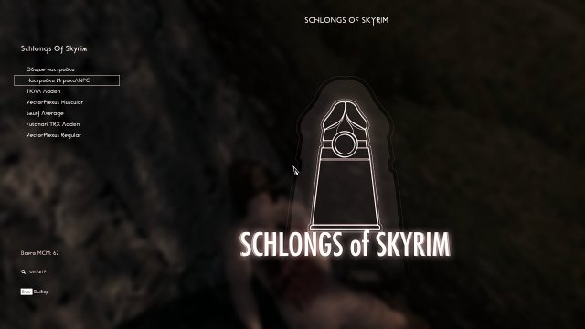 650910624_SkyrimSE2025-03-0507-33-29.thumb.JPG.7601779d73e31c45038d814dc20860b0.JPG