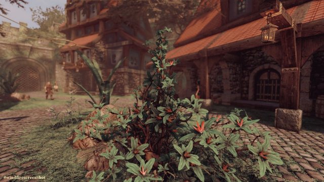 ScreenShot1902.jpg