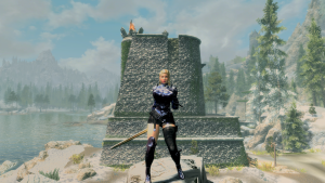 ScreenShot126.png