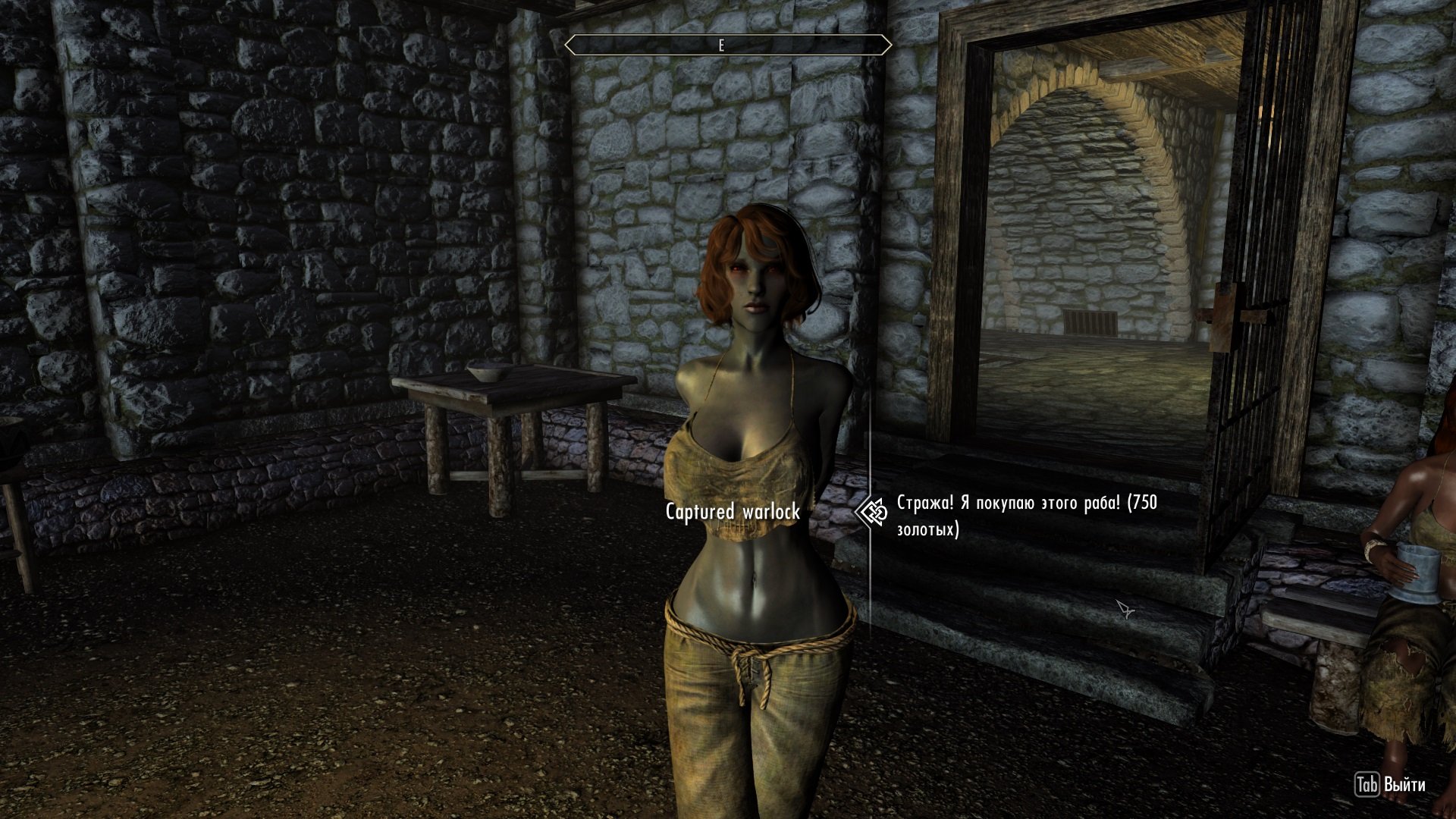 Enthralled: Custom Npc Quests for Paradise Halls and Diary of Mine 1.5.1 RUS