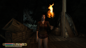 Oblivion 12.07.2025 00_36_52.png
