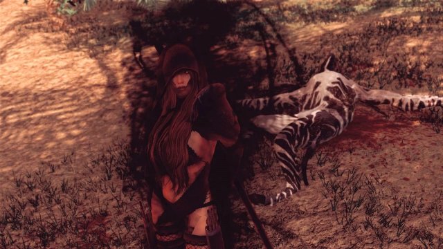 ScreenShot2534.jpg