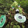 YANORA