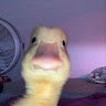 Marshmallo1475