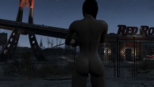 ScreenShot135