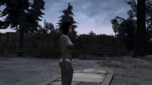 ScreenShot246
