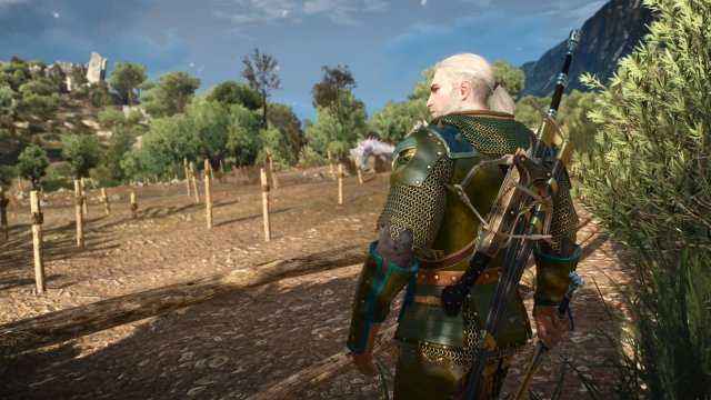 The Witcher 3 Screenshot 2025.11.06 - 20.41.20.15.jpg