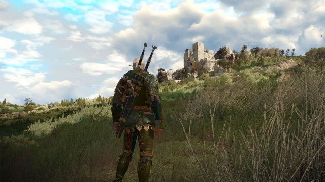 The Witcher 3 Screenshot 2025.06.02 - 23.01.10.73.jpg