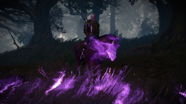 The Witcher 3 Screenshot 2025.06.04 - 22.28.04.11.jpg