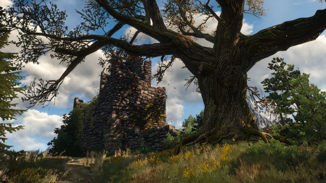 The Witcher 3 Screenshot 2025.05.19 - 23.08.50.94.jpg