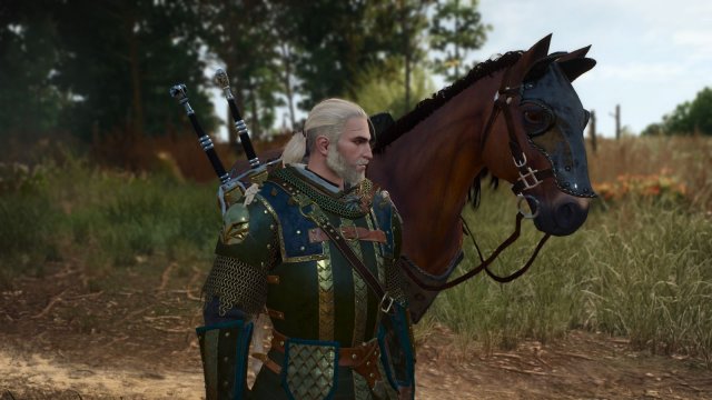 The Witcher 3 Screenshot 2025.11.11 - 22.00.51.20.jpg