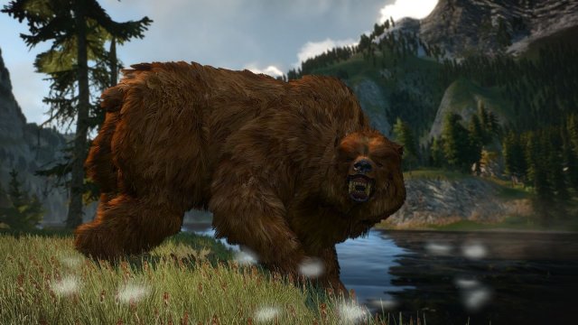 The Witcher 3 Screenshot 2025.06.17 - 23.11.54.77.jpg