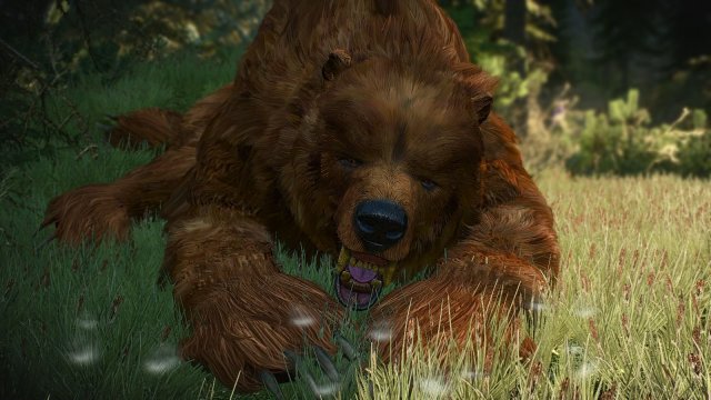 The Witcher 3 Screenshot 2025.06.17 - 23.11.47.97.jpg