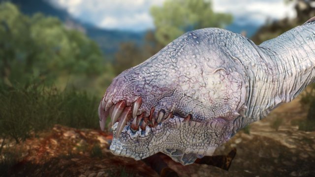 The Witcher 3 Screenshot 2025.06.02 - 23.05.22.67.jpg