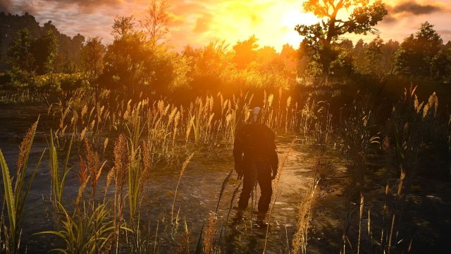 The Witcher 3 Screenshot 2025.05.25 - 23.21.37.76.jpg