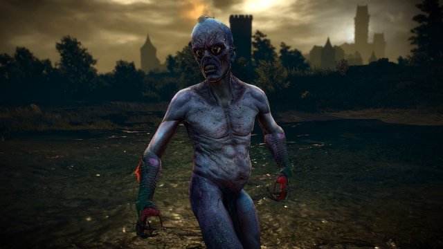 The Witcher 3 Screenshot 2025.04.30 - 22.08.18.76.jpg