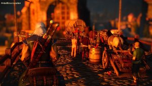 В свете заходящего солнца.. Ведьмак III (сборка Торна)