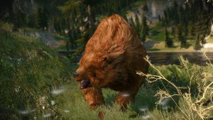 Медведи вблизи Каэр Морхена.