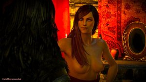 Ведьмак III (сборка Торна)