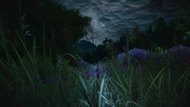 The Witcher 3 Screenshot 2025.06.03 - 21.43.50.71.jpg