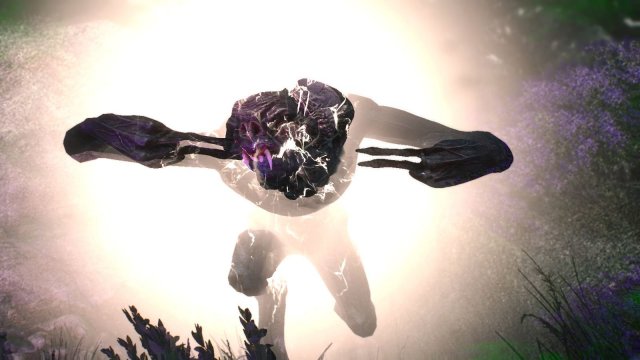 The Witcher 3 Screenshot 2025.06.14 - 20.42.51.96.jpg