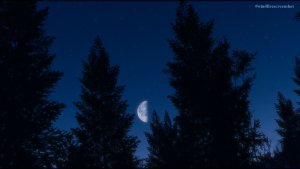 Ночь.. Fallout-4 (Сборка 11)