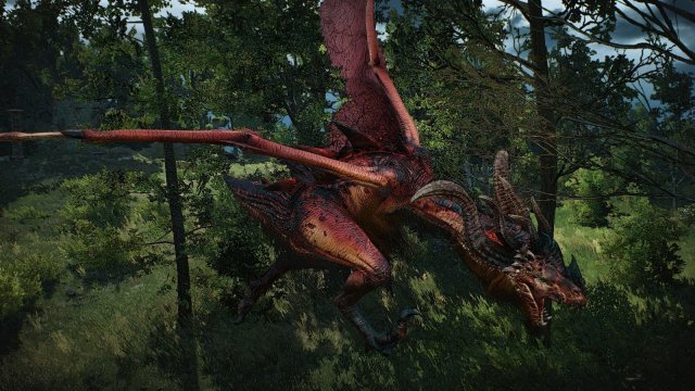 The Witcher 3 Screenshot 2025.05.26 - 21.20.11.47.jpg