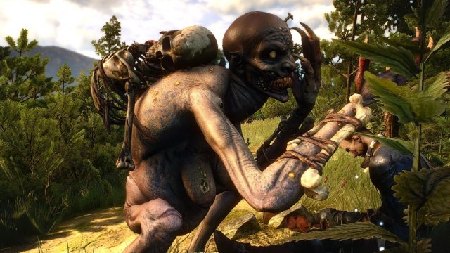 The Witcher 3 Screenshot 2025.05.01 - 21.43.03.04.jpg